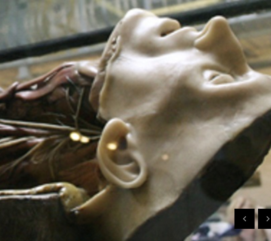Gordon Museum e-Learning App